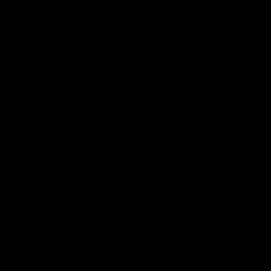 Meet your Posher, Samory